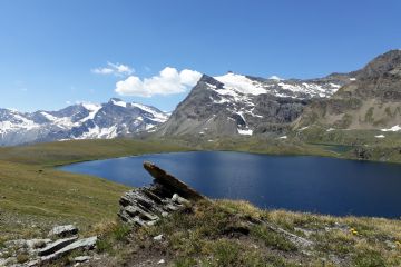 Foto Alessandra Masino